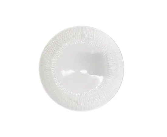Plate CFS2365-1