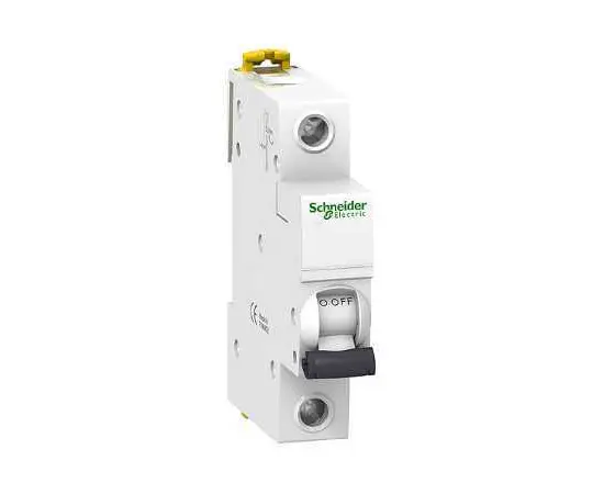 Circuit breaker Schneider Electric A9K24125 C25