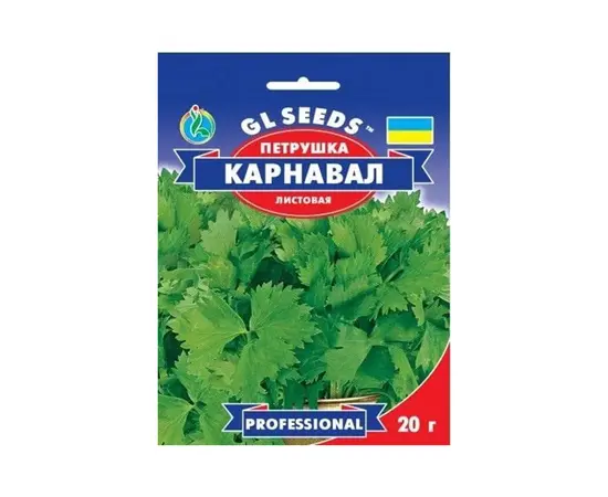 Parsley seeds 20 g