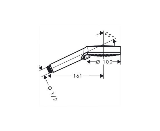 Душевая лейка Hansgrohe 5251140