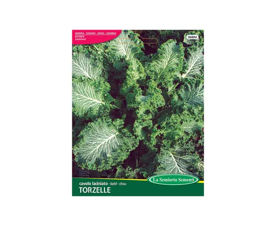 კომბოსტოს თესლი Curly Kale DWARF GREEN CURLED 068-MAXIOr