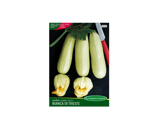Pumpkin seeds Squash BIANCA DI TRIESTE 388-MAXIOr