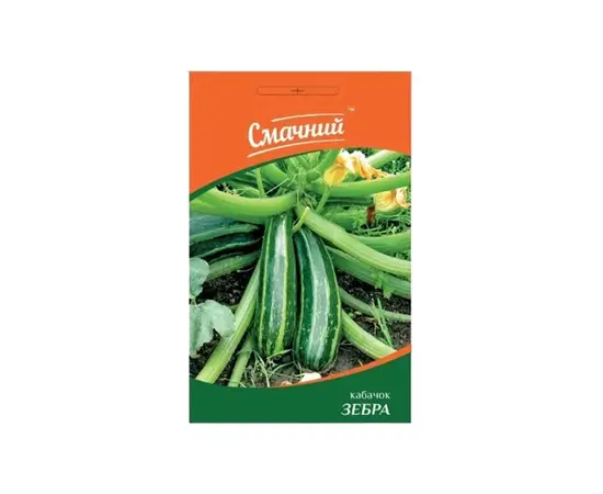 ყაბაყის თესლი Elitsort Seeds 3 გ