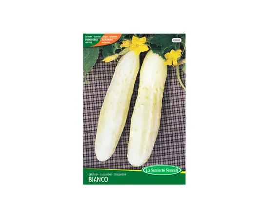 Cucumber seeds Cucumber MEZZO LUNGO BIANCO 098-MAXIOr
