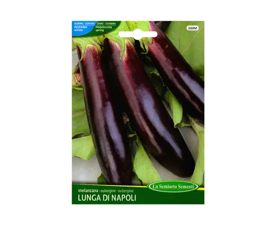 Eggplant seeds Eggplant VIOLETTA LUNGA 2 244-MAXIOr
