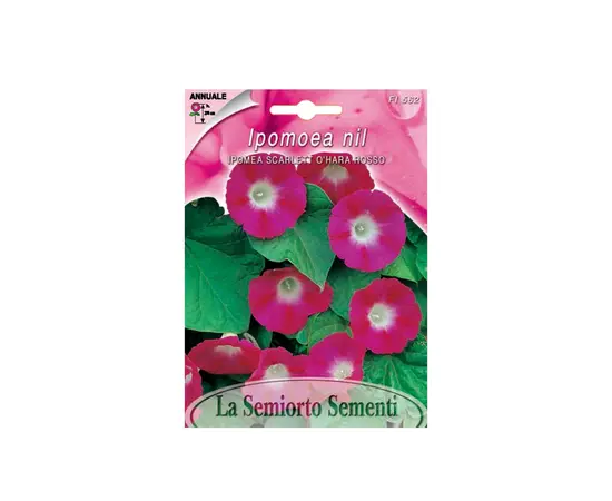 იპომეას თესლი Ipomea SCARLET O'HARA RED FI562-MAXIFlor