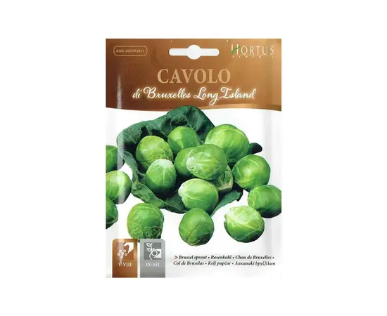 Brussels sprouts CAVOLO BRUXELLES LONG ISLAND MB 5 g