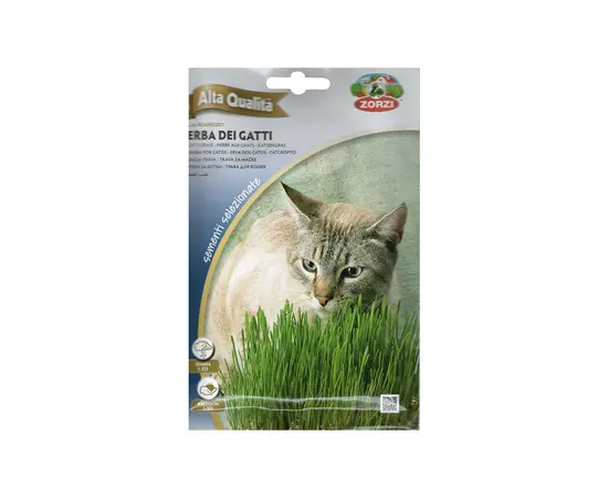 Catnip seeds ERBA DEI GATTI AQ 25 g