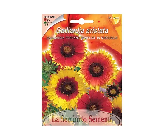 Gaillardia seeds Gaillardia PERENNE SEMPLICE IN MIX FI543-MAXIFlor