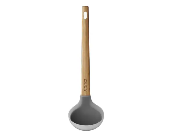 Ladle Ambition Nordic