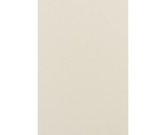 Штора Delfa Termo Blackout СРШ-01M-7900 119(115)/170 см белая