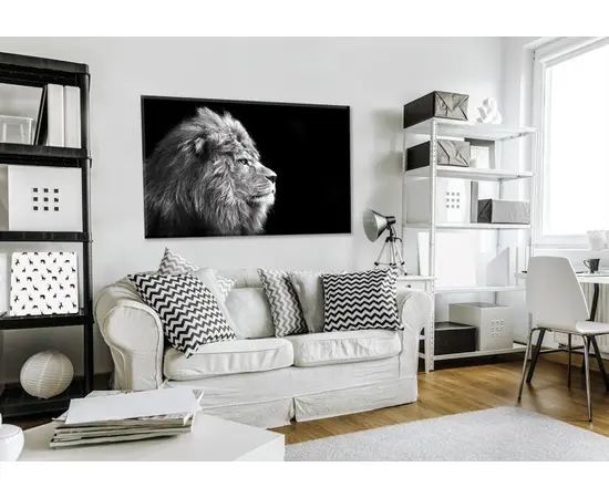 სურათი შუშაზე Styler Lion GL104 70X100 სმ