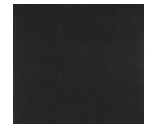 Carpet cover Orotex CARRERA GR 2021 ZWART 2 m
