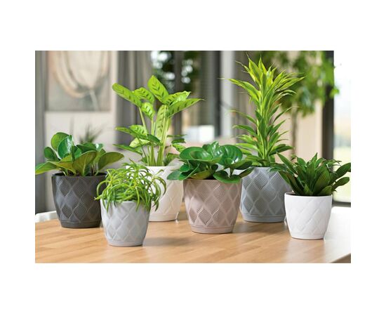 ქოთანი ყვავილის FORM PLASTIC flow petit eco recycled z podstawka 15 white