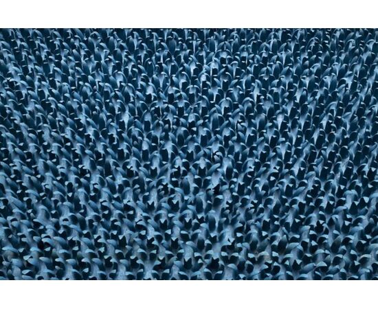 Коврик Hamat Rally Blue 40x60 см