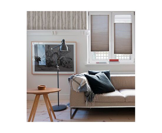 Plisse blinds Delfa СПШ-38509 73x160 cm