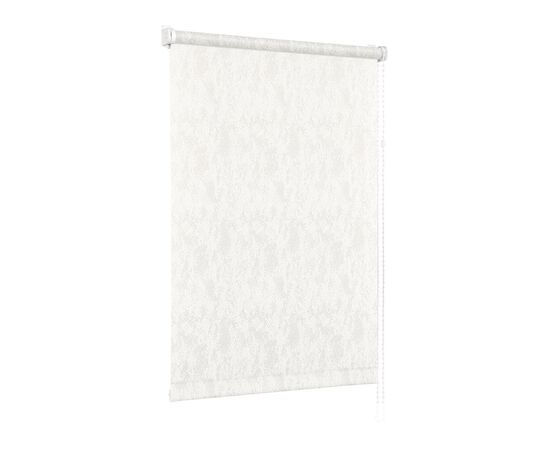 Roller shade Delfa СРШ-01М-27011 99(95)x170 cm