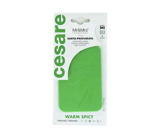 Ароматизатор Mr&Mrs Fragrance Cesare Cards Green Warm Spicy
