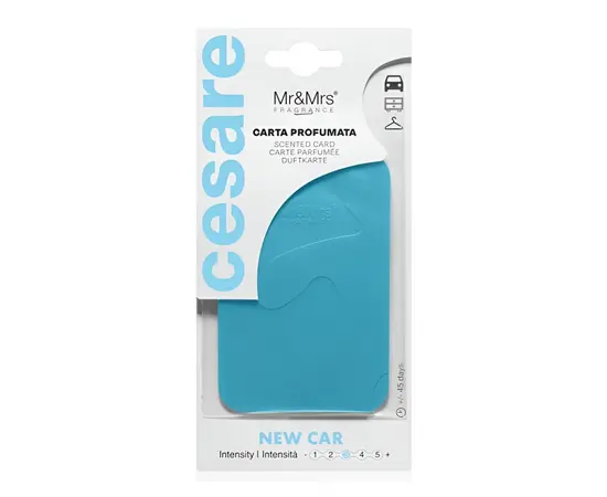 Ароматизатор Mr&Mrs Fragrance Cesare Cards Sky Blue New Car