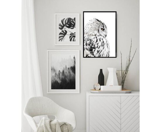 Picture in frame Styler Owl FP068 50X70 cm