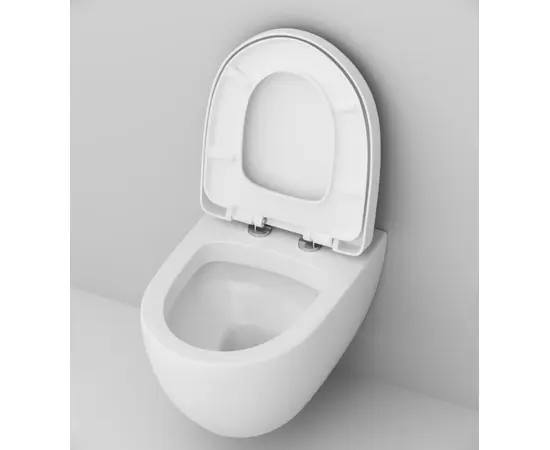 Wall hung toilet  AM.PM Awe C111738SC with microlift seat