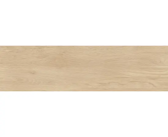 Porcelain tiles Emotion ceramics P NOOK NATURAL MAT PRI 23.3X120