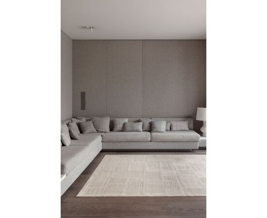Carpet OSTA TEXTURA 488-20-LA 100 100% WOOL 160x230 cm