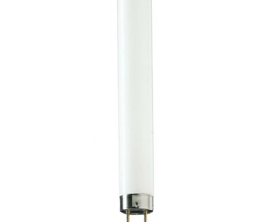 Luminescent lamp Philips TL-D 18W/54-765 1SL/25 6200K 18W G13