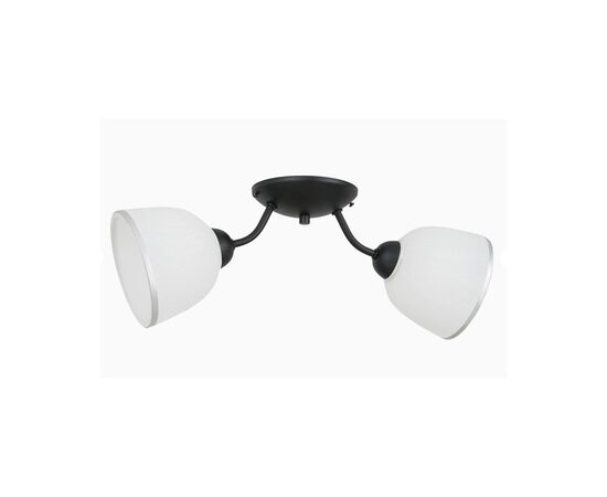 Подвес Luminex 176 Avia 2 27 черный