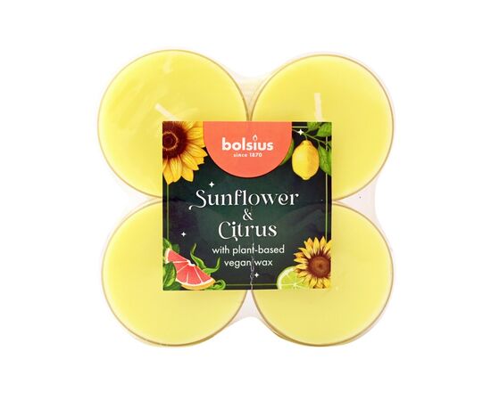 Candle tea scented Bolsius sunflower citrus 8 hours 8 pcs
