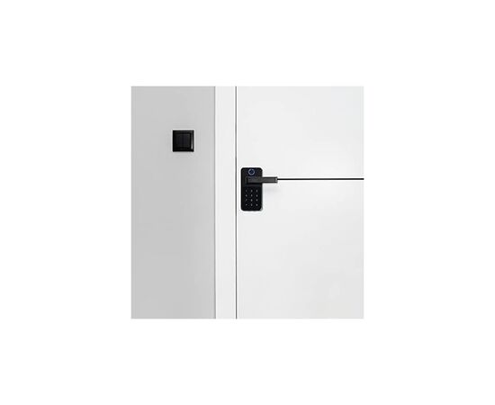 Умный замок ORNO IP44 OR-ZS-854