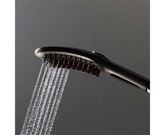 Hansgrohe Dog Shower Head 26640670