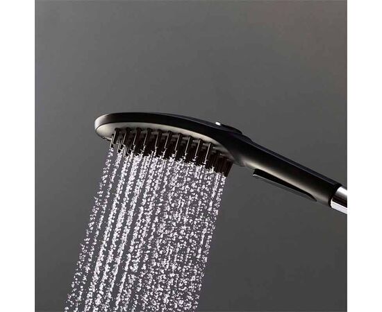 Hansgrohe Dog Shower Head 26640670