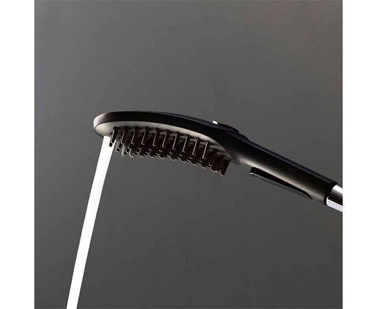 Hansgrohe Dog Shower Head 26640670
