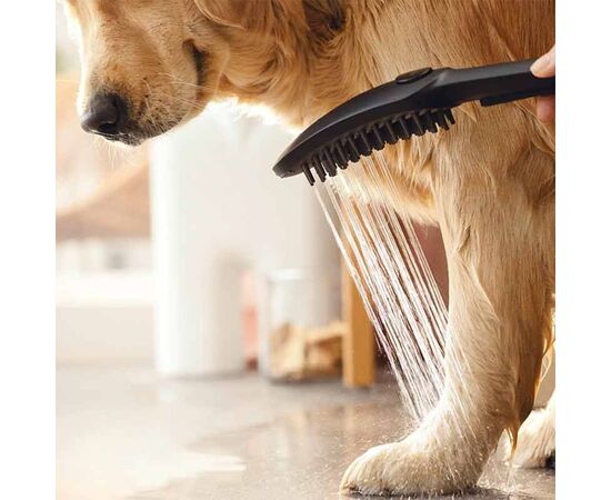 Hansgrohe Dog Shower Head 26640670