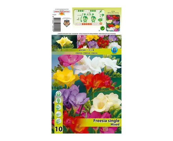 Луковичные HBM STAR CAPPERLINE STA Freesia Single Mixed (x10)
