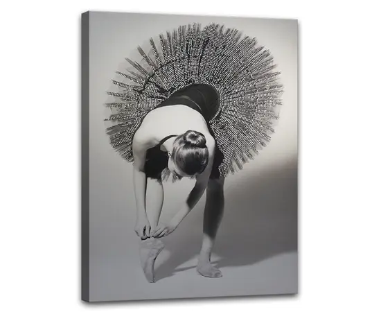 Картина на холсте Styler Balerina ST171 60X80 см