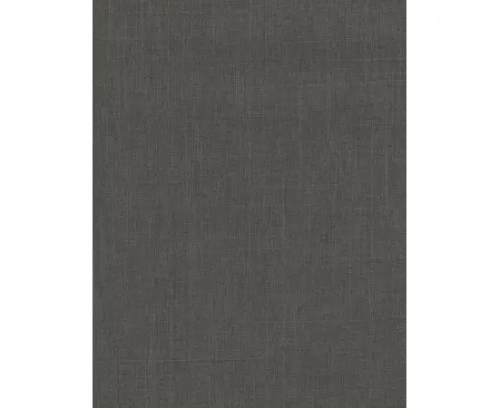 Curtain Delfa Aura SRSH-01M-2721 56(52)/170 cm gray