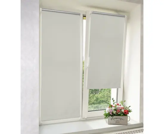 Curtain Delfa Termo Blackout SRSH-01M-7151 66(62)/170 cm gray