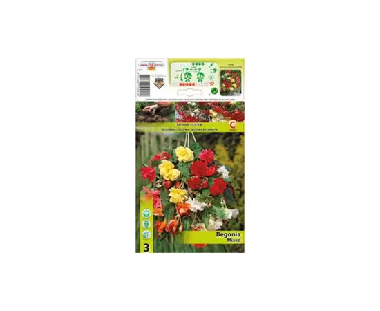 Bulbous HBM STA Begonia Pendula Mixed (x3)