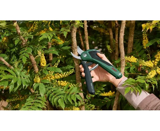 Cordless pruner Bosch Easy Prune 3.6V