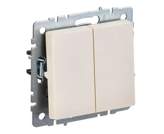 Switch pass-through without frame IEK BRITE 2 10A VS10-2-6-BrB