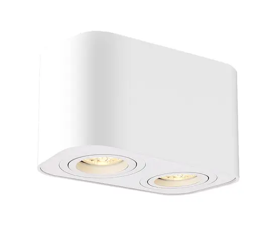 Downlight Rabalux Kobald 2 GU10 h105 adjustable white 2054