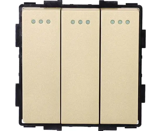 Switch Socket Style 3 3G-2W gold