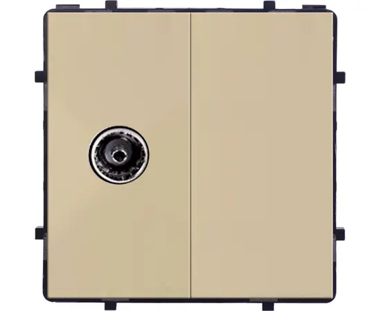 როზეტი Style Socket ერთ სექციური TV Female ოქროსფერი