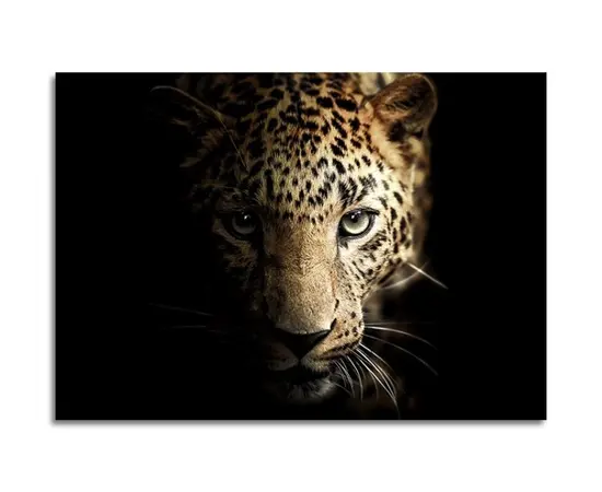 Glass picture Styler Leopard GL246 70X100 cm