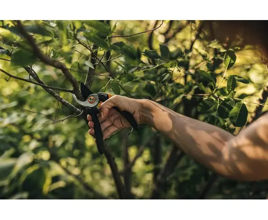 Pruner Fiskars Solid P321