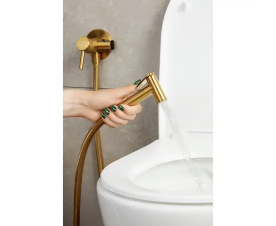 Bidet set KFA Moza Gold built-in