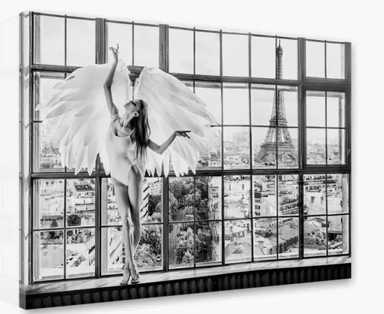 სურათი ტილოზე Styler ST713 WINDOW PARIS 70X100