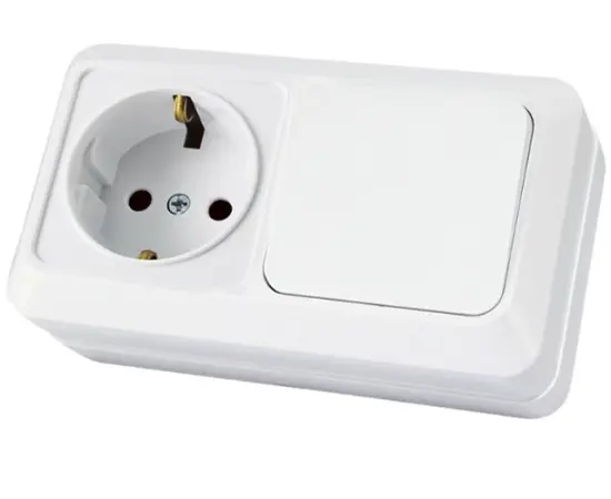 ჩამრთველი როზეტით TDM 10 A 220 V